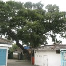 서문성터길 이미지