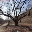 성내리 마을회관 이미지