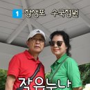 도연아불피아라 이미지