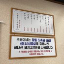 주은이네