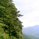 8월5일 목요일 도장산 (828m 경북상주 화북면) 이미지