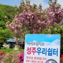 성주우리쉼터 이미지