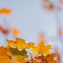 Movies & English 이미지