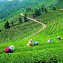 서울신사초등학교 이미지