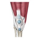 부암한의원 이미지
