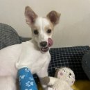 한결동물병원 이미지