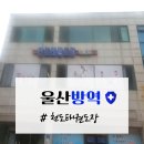 천도태권도장 이미지
