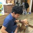 올바른 반려견 보호자 교육 이미지