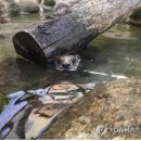 전라남도야생동물구조관리센터 이미지