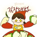 청양농협대치지점 | [내돈내산] 집에서도 쉽게 김장하기 - 농협맛선 김장키트 3종 후기