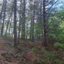 소양강변길(봄내길 4-1코스) | 2025.8.16 춘천 서면 방동리 둘레길 산행 후기