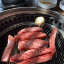 곡성찐한우농장 | [곡성 옥과한우촌 본점] 등심 갈비살 육회비빔밥 소고기 맛집 방문 후기