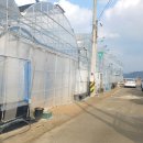 생규농장 이미지