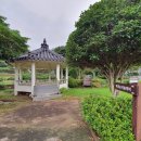 둔덕청마꽃들작은도서관 이미지