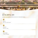 도시로 떠나는 문학여행 | 3월에 떠나는 춘천여행, 특별한 매력은 무엇일까?