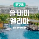 제멜리아 이미지