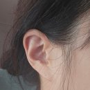 일상의 작은변화 | 귀지압패치 체험 후기, 일상 속 작은 변화