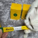 고양이랑 | 감다살 맥심 도자기컵 어디서 사나요? 못참고 2박스 산 후기 (고양이랑 언박싱)