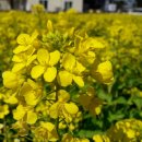 무지개지역아동센터 이미지