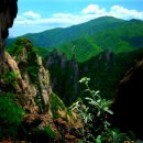 에델바이스 이미지