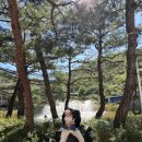 오월드 | 아이데리고 가기 좋은 대전 오월드 10월 방문 후기