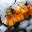 피부이야기 - 중랑구 면목로21길 25 | 피부이야기