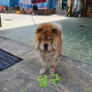 점암농장 이미지