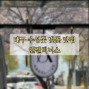 대구 수성못 벚꽃 카페 엔젤리너스 메뉴 가격 뷰 후기(26.04.05.벚꽃)