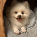 샤오바오우육면마산 | [minglog] diary 07