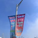 26년 3월 서천 쭈꾸미 축제 방문기