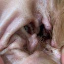 다솜바이오 이미지