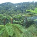 머리사랑 이미지