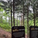 새마음목장 이미지