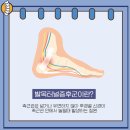 백석정형외과의원 이미지