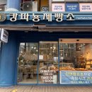캉파뇽제빵소 네이버블로그