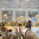 박혜은 카카오 검색결과