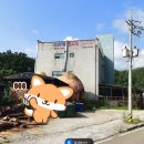 강릉 대관령24시솔가마사우나 찜질방 정보_세신 가능