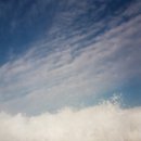 영진목장 이미지