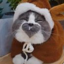 <학습카페 태전점>꿈꾸는 나의 글쓰기 | 얼레벌레! 2026년이 시작되었고 벌써 한달이 지났다니!