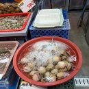 보배약국 | 2026.01.21.~01.31. 일상