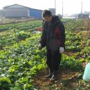 종은농장 이미지