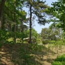 여울목수변공원 이미지