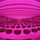 한화농장 이미지