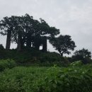 제주 이교동 일제군사시설 이미지