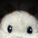 민지세탁소 이미지