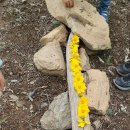 햇볕어린이집 이미지