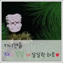키니캔들