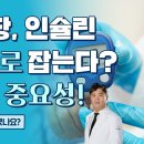 유산균 먹어서 살 뺄 수 있을까? 논문으로 알아보기 이미지