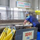 재활용선별장 이미지