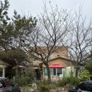 오색진두부 이미지